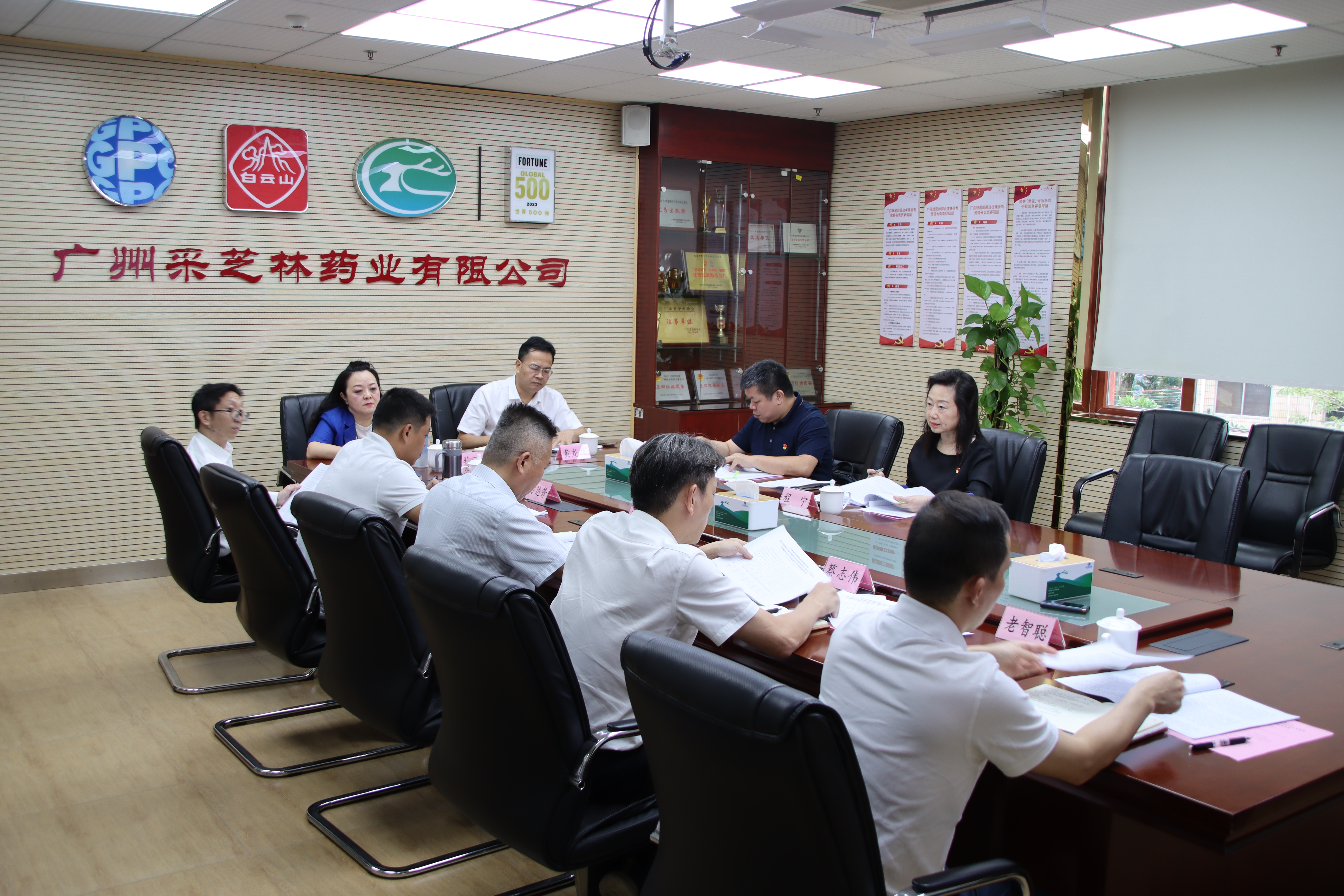 采芝林药业领导班子召开主题教育专题民主生活会