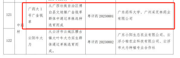 采芝林药业与广东药科大学联合申报新品种“广药大1号广金钱草”通过品种评定