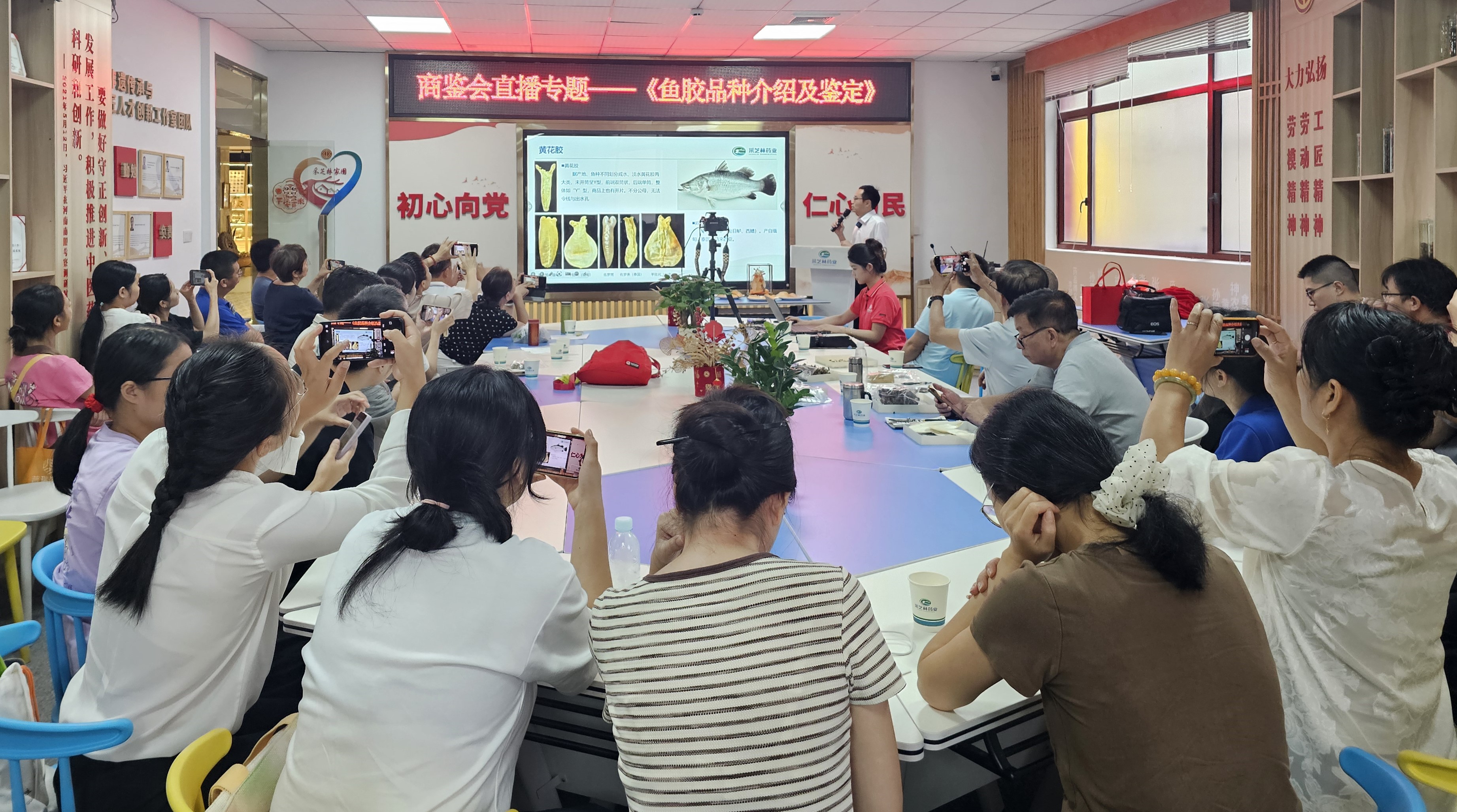 “商鉴会”69年首次直播丨采芝林线上线下联动共鉴，双线解码鱼胶密码