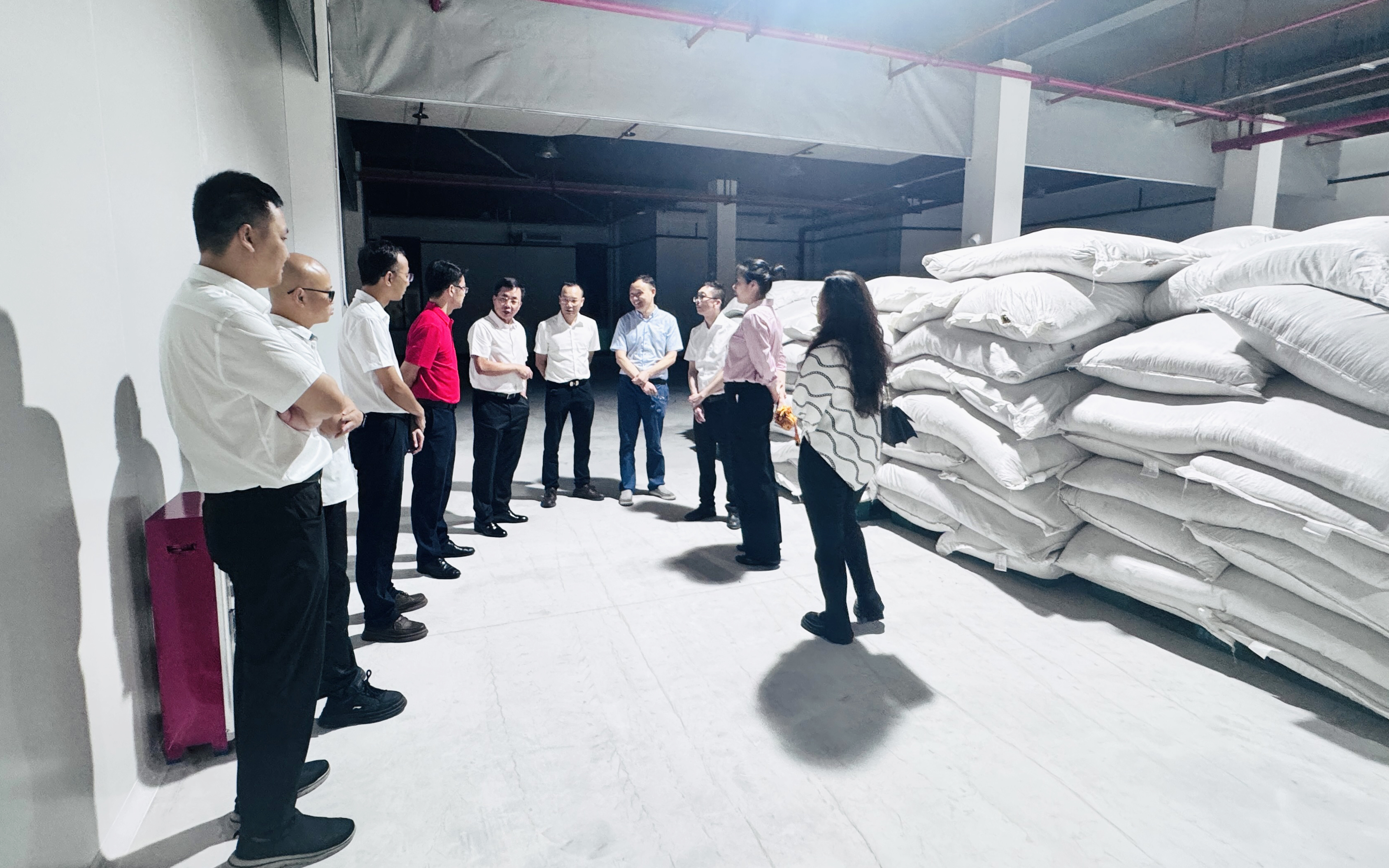 调研促发展 排查保安全丨采芝林药业筑牢生产经营与安全发展双重根基