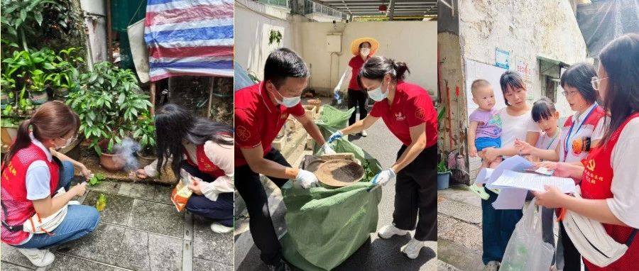 “两热”防控在行动丨采芝林旗下党组织深入社区开展防蚊灭蚊活动