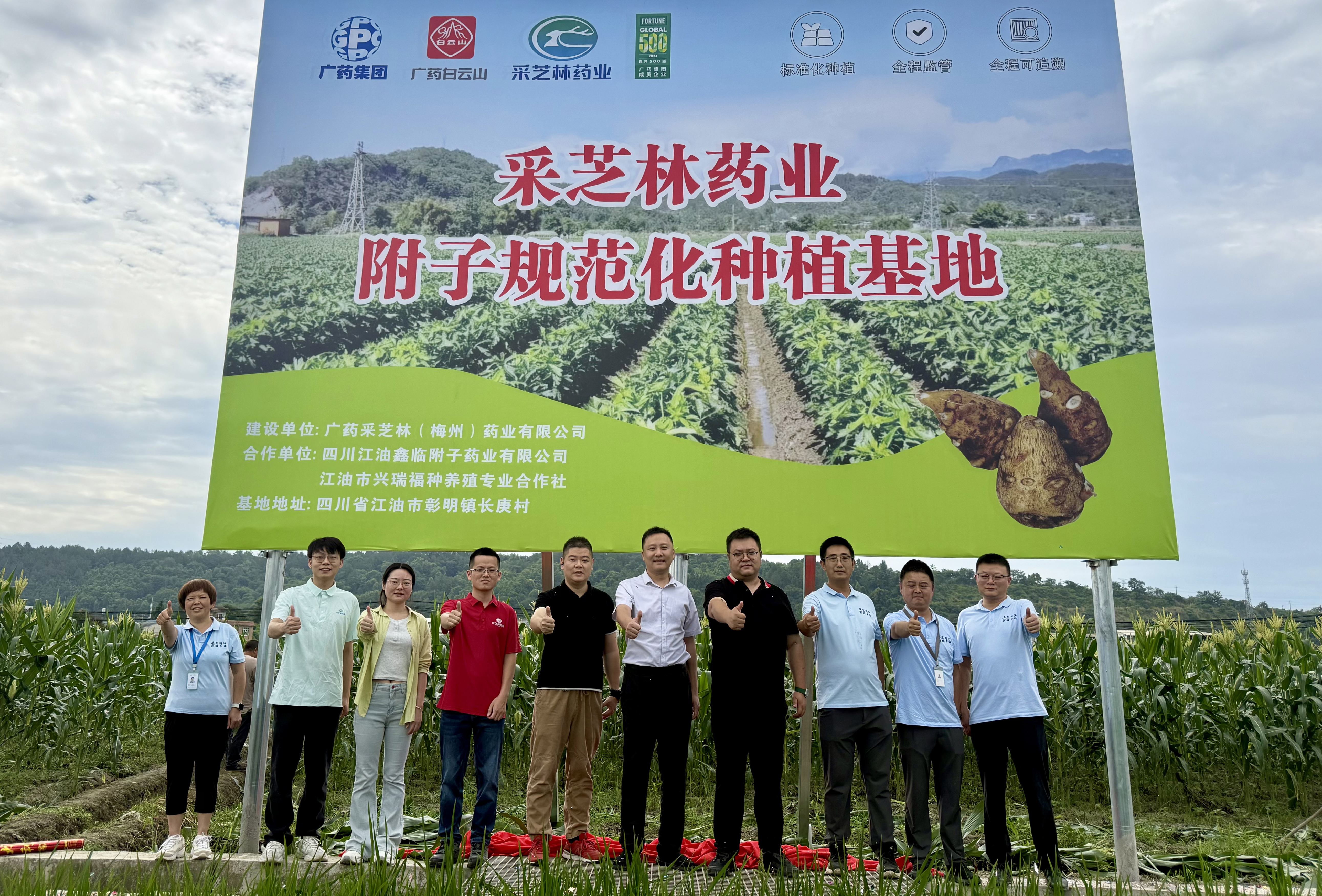 喜讯丨采芝林药业附子规范种植基地正式揭牌